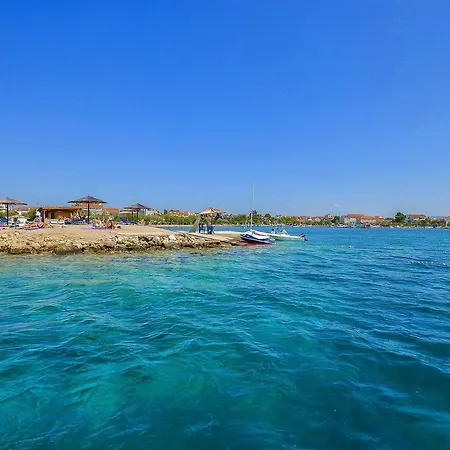 Διαμέρισμα Branka *